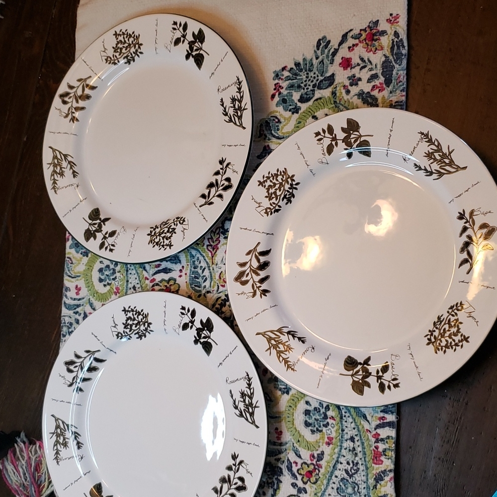 Savory Tyme by HIMARK Plates
